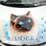 Birma Katze Portrait auf Golf Motorhaube